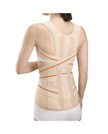 Orliman Dorsolumbarer Gürtel
