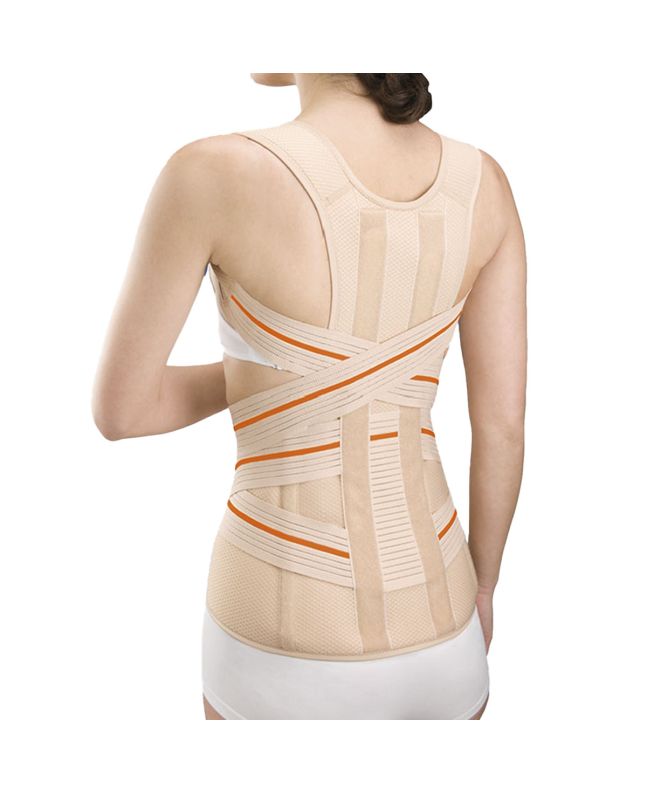 Orliman Dorsolumbarer Gürtel